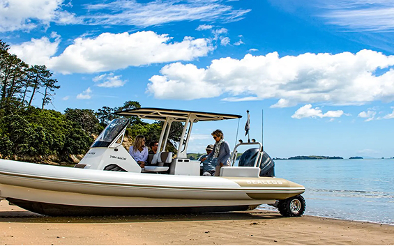 陸上と水上で優れた性能と革新性を提供する水陸両用ボート「Sealegs」