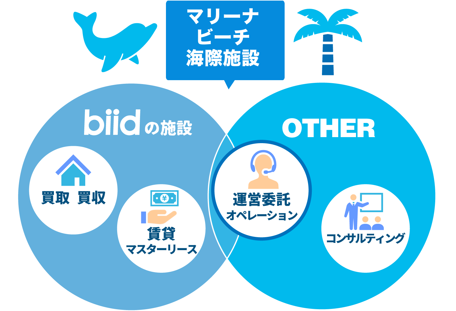 ビードでは、マリーナ、ビーチ、クルーザー等の海際・海上施設の資産に特化し、各事業を連携、一体化させた運営を行っています。